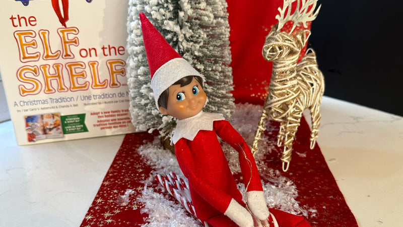 Elf on the Shelf ideas: 24 Creative Ideas to Delight Your Family