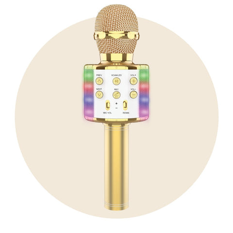 Musical Toys and Karaoke - Party Expert