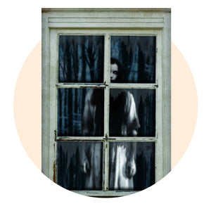 Halloween Window and Wall Decorations - Party Expert