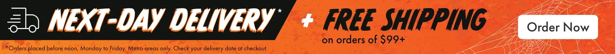 Next-day delivery + free shipping on orders of $99+