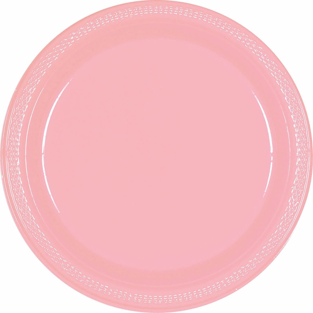 Large Round Lunch Paper Plates, 10.25 Inches, 20 Count Party Expet