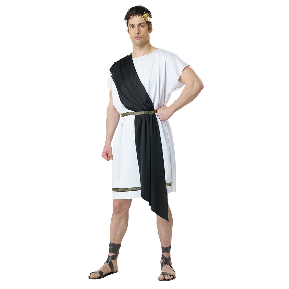 Party Toga Costume for Adults