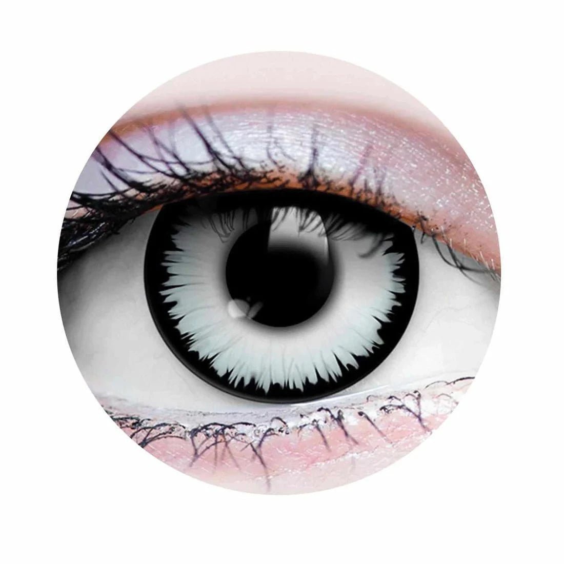 PRIMAL CONTACT LENSES Costume Accessories PRIMAL® Werewolf III - White Coloured Contact Lenses, 3 months usage 628153229019