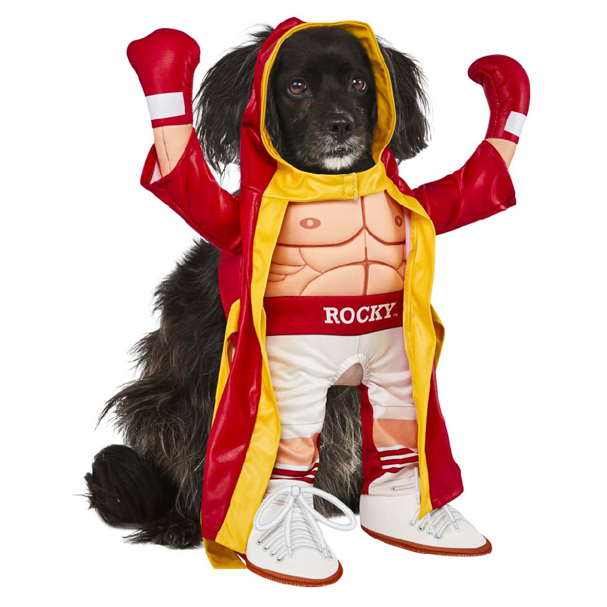 Dog boxing costume hotsell