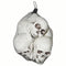 SUNSTAR INDUSTRIES Halloween Bag of Skulls, 1 Count