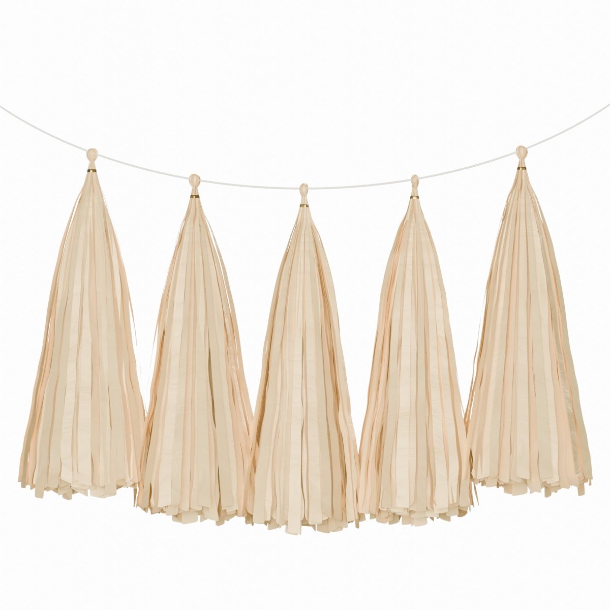 Weifang Mayshine Imp&exp co Decorations Kraft Tassel Garland, 5 Count 810064197192
