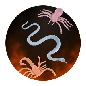 Insectes & Rongeurs