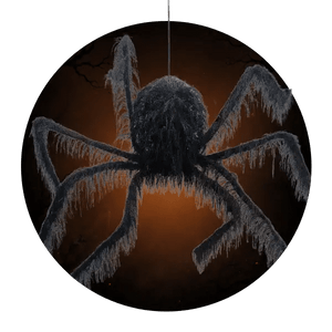 Spiders