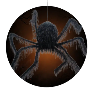 Araignées