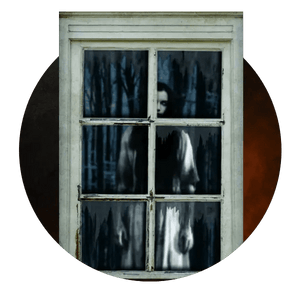 Window & Wall