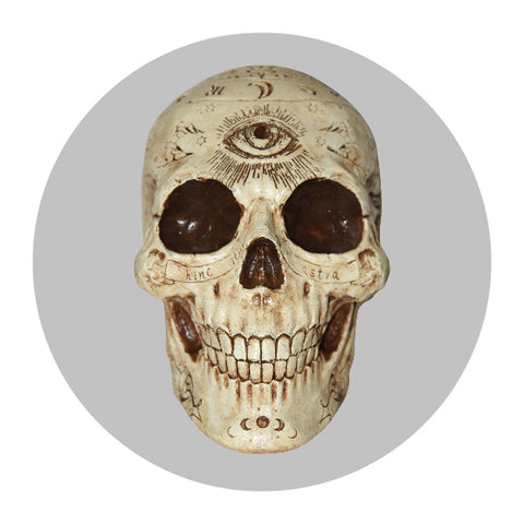 Halloween Skeleton and Skull Decorations