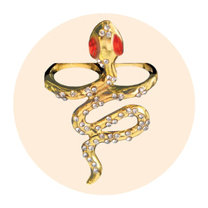Rings - Party Expert