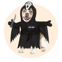 Halloween Costumes for Dogs - Party Expert