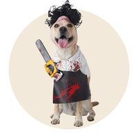 Halloween Costumes for Dogs