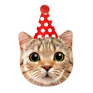 Party Cats and Dogs Birthday Party Supplies and Decorations - Party Expert
