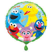 Ballon mylar rond de Rue Sésame, 18 pouces, 1 unité