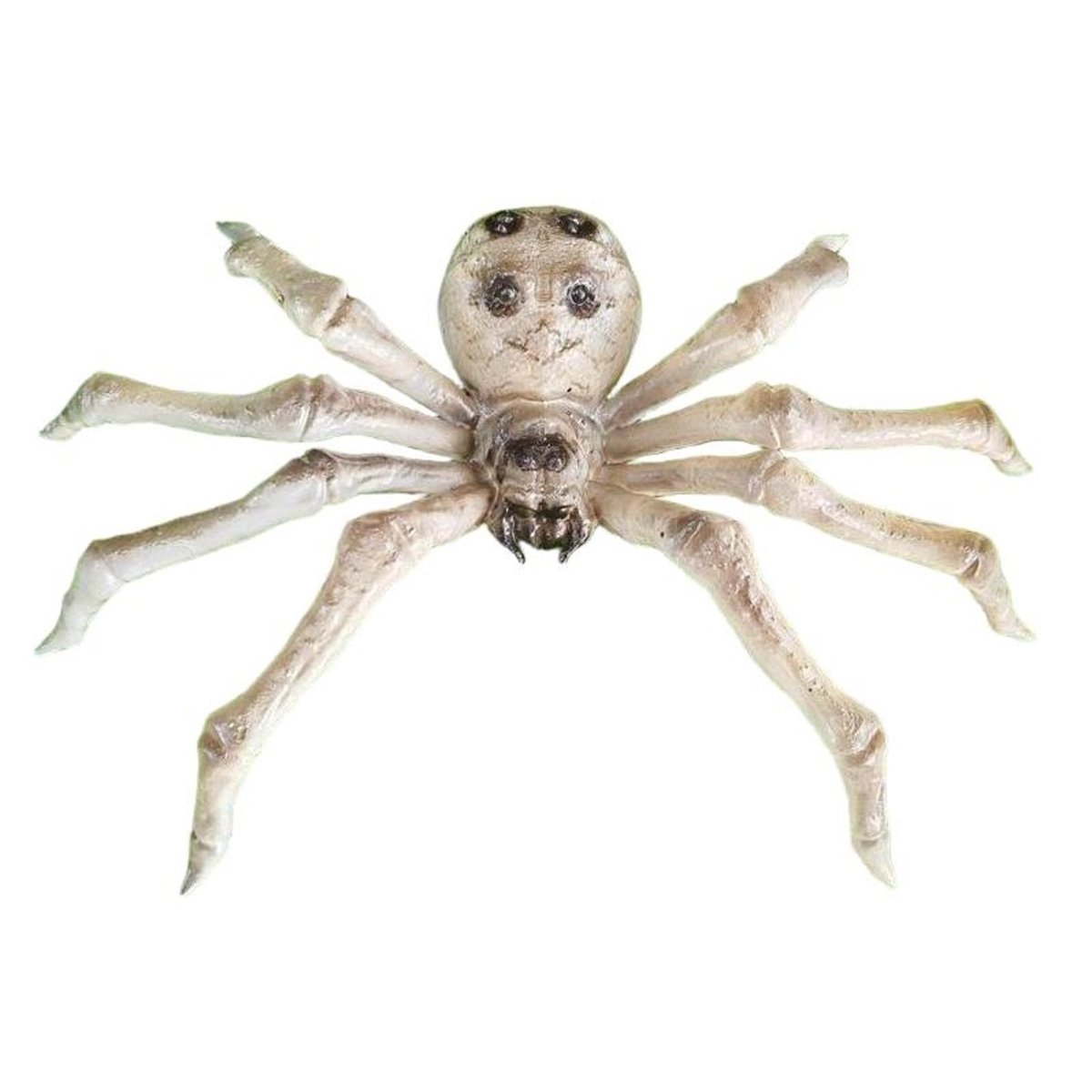 Skeleton Spider, 9 Inches, 1 Count