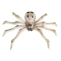 Skeleton Spider, 9 Inches, 1 Count