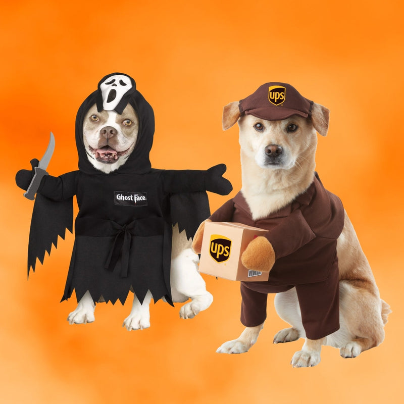 Dog Halloween Costumes