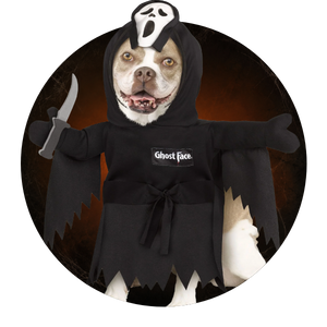 Costumes pour chiens