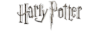 Harry Potter license logo for costume category