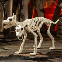 Animated Two-Headed Doberman Dog Skeleton, Halloween Decoration, 38 Inches, 1 Count