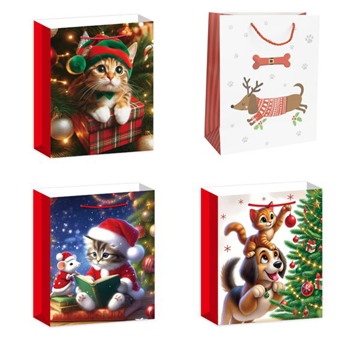Large Matte Gift bag - Asst.