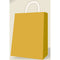 A-LINE Gift Wrap & Bags Gold medium kraft gift bag 882636005839