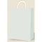 A-LINE Gift Wrap & Bags Silver medium kraft gift bag 882636005846