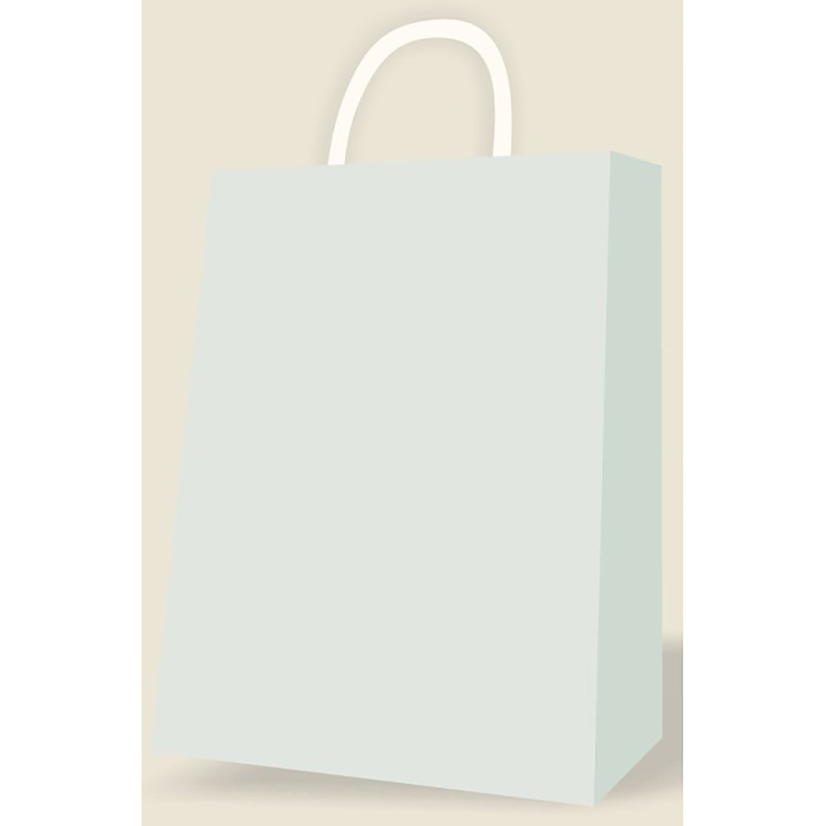 A-LINE Gift Wrap & Bags Silver medium kraft gift bag 882636005846