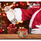 A1 DISTRIBUTION Impulse Buying Christmas Squeeze Ball Fidget Toy, 1 Count 847589043086