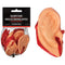 AMSCAN CA Halloween Halloween Decorations Plastic Bloody Ears, 5 Count 192937397602