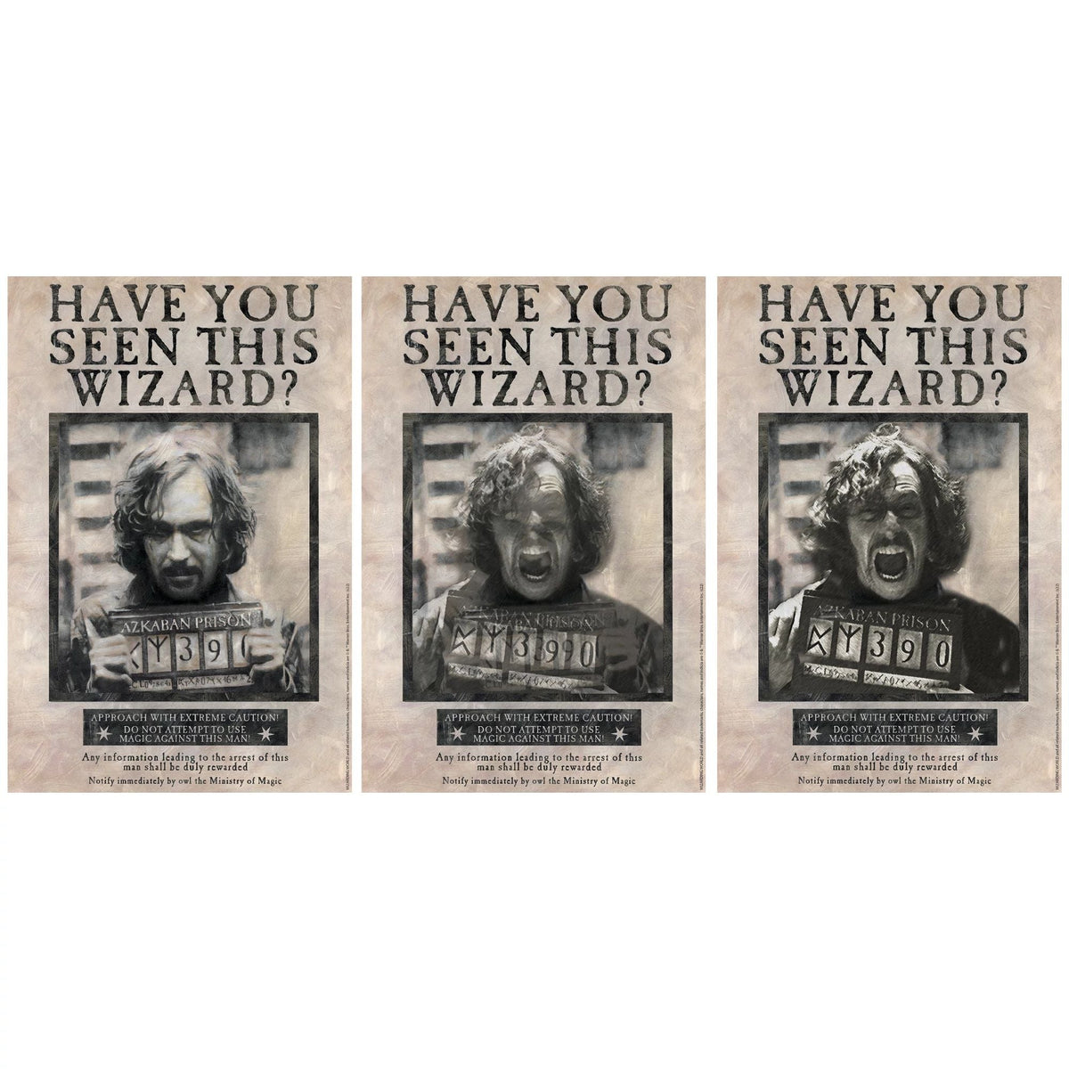 AMSCAN CA Halloween Harry Potter Sirius Black Wanted Lenticular Poster, 18 x 12 Inches, 1 Count