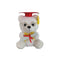BB TOYMAKER Graduation White Graduation Bear with Red Hat, 7 Inches, 1 Count
