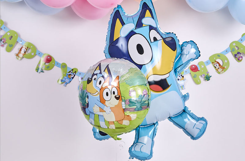 Bluey Birthday Party Supplies and Decorations - Party Expert