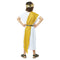 CALIFORNIA COSTUMES Costumes Basic Toga Costume for Kids, Gold and Black Shawls