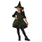 CALIFORNIA COSTUMES Costumes Emerald City Witch Costume for Kids, Green Dress