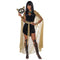 CALIFORNIA COSTUMES Costumes Feline Egyptian Goddess Costume for Adults, Black Dress