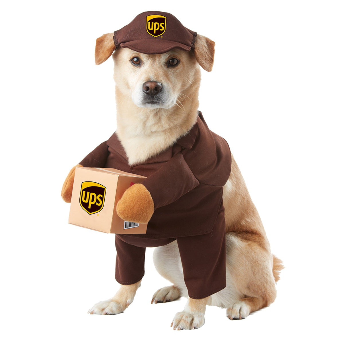 CALIFORNIA COSTUMES Costumes UPS Pal Costume for Dogs