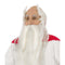 CHAKS Costume Accessories Panoramix White Wig and Beard for Adults, Asterix and Obelix