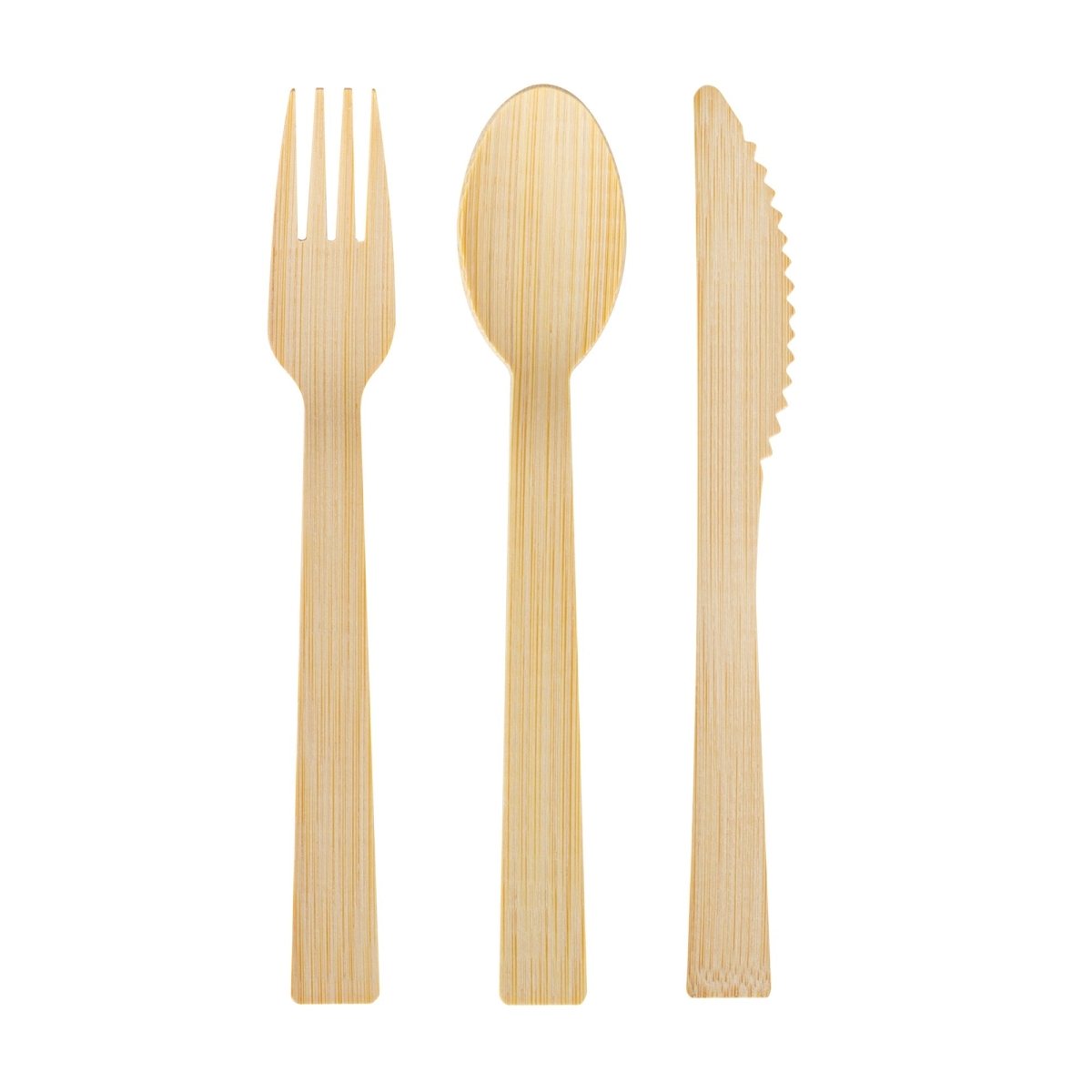 CONGLOM Disposable-Plasticware Ieco Bamboo Cutlery Set, 48 Count 059212323421