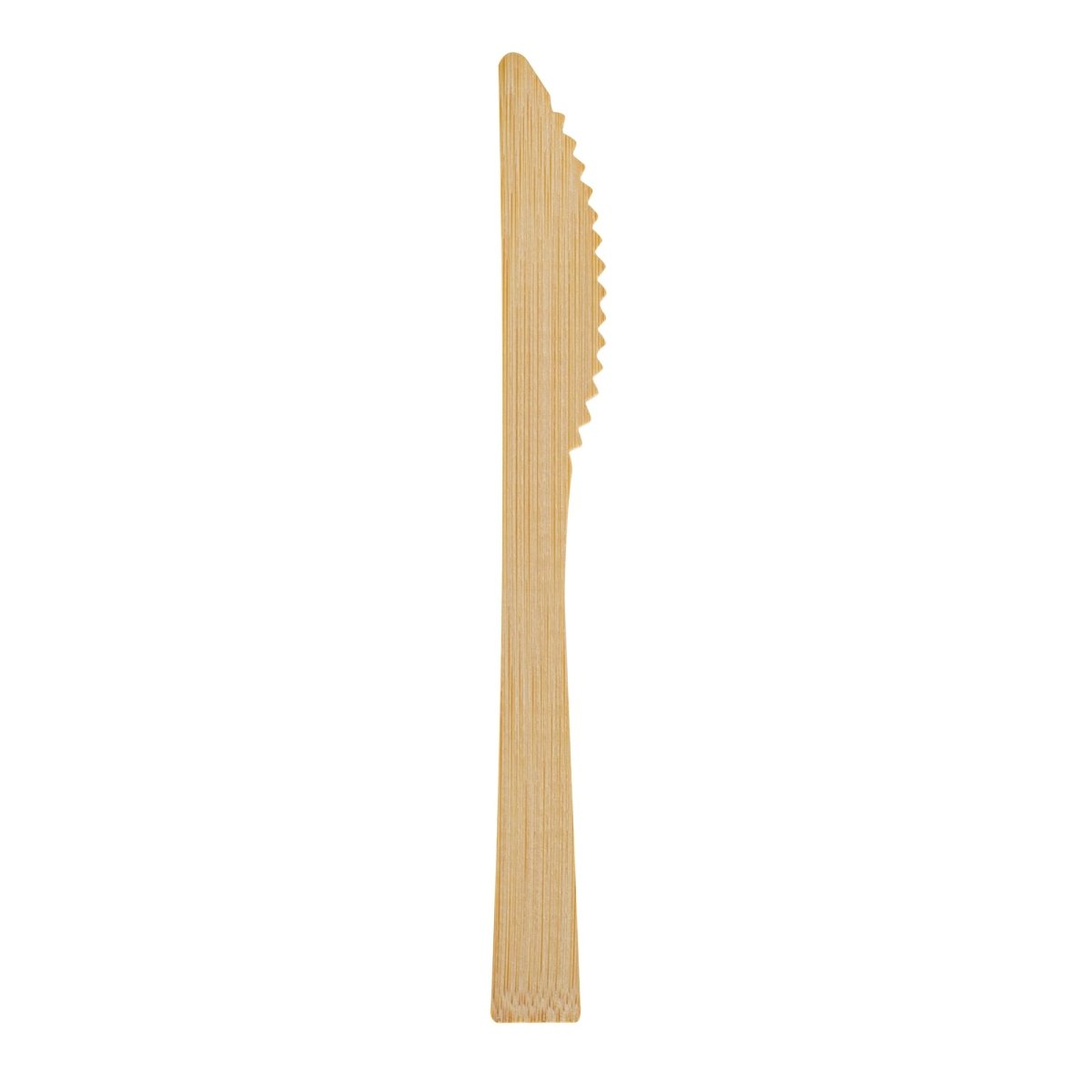 CONGLOM Disposable-Plasticware Ieco Bamboo Knives, 24 Count 059212323445