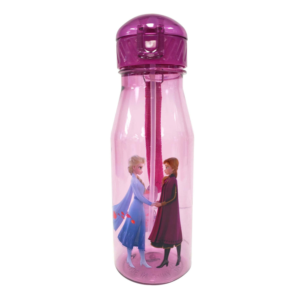 DANAWARES Kids Birthday Disney Frozen 2 Purple Dome Cap Bottle with Straw and Carrying Strap, 1 Count 059562401565