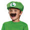 DISGUISE (TOY-SPORT) Costume Accessories Luigi Hat and Mustache for Kids, Super Mario Bros 039897737560