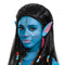 DISGUISE (TOY-SPORT) Costumes Avatar Neytiri Deluxe Wig for Adults, Black Braided Wig