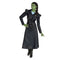DISGUISE (TOY-SPORT) Costumes Elphaba Deluxe Costume for Adults, Wicked, Jacket and Skirt