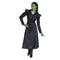 DISGUISE (TOY-SPORT) Costumes Elphaba Deluxe Costume for Adults, Wicked, Jacket and Skirt