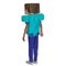 DISGUISE (TOY-SPORT) Costumes Steve Pop Out Costume for Kids, Minecraft
