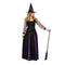 DONGYANG ALICE PARTY COSTUME CO. Costumes Midnight Witch Dress Costume for Adults, Black and Purple Dress