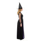 DONGYANG ALICE PARTY COSTUME CO. Costumes Midnight Witch Plus Size Dress Costume for Adults, Black and Purple Dress 840482503053